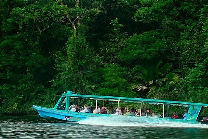 Day Trip From San Jose to La Paz Waterfall Gardens & Safari in Sarapiqui River - Tour Highlights