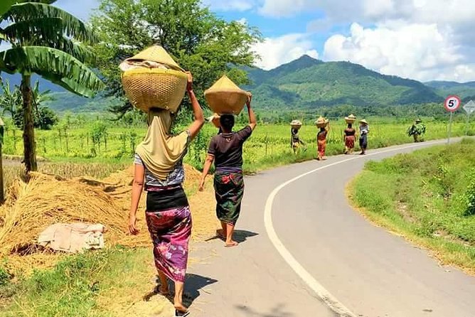 Day Trip in Local Life of Sasak Tribe
