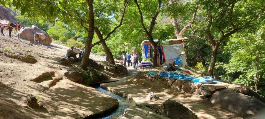 Day Trip To Agafay Desert and Atlas Mountains - Good To Know