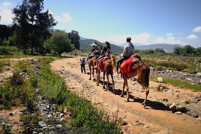 Day Trip to Berber Valley and Atlas Mountains - Good To Know