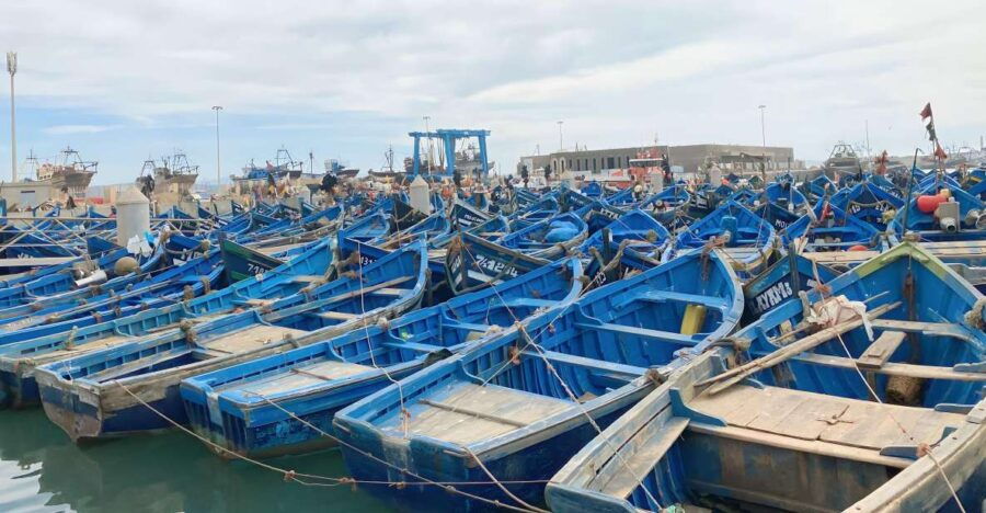 Day Trip to Essaouira