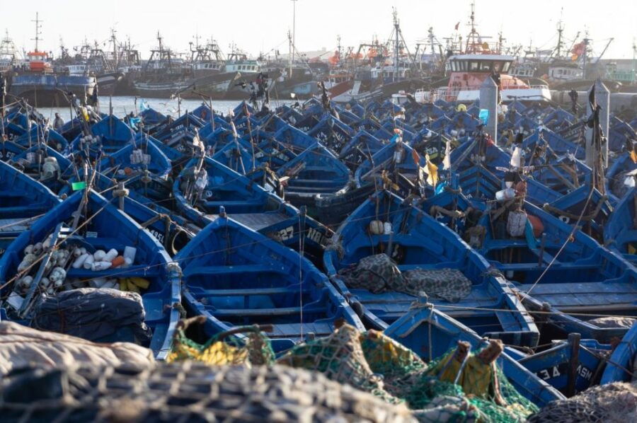 Day Trip To Essaouira From Marrakech