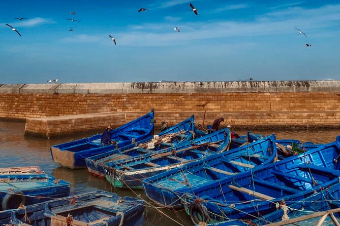 Day Trip to Essaouira - Good To Know