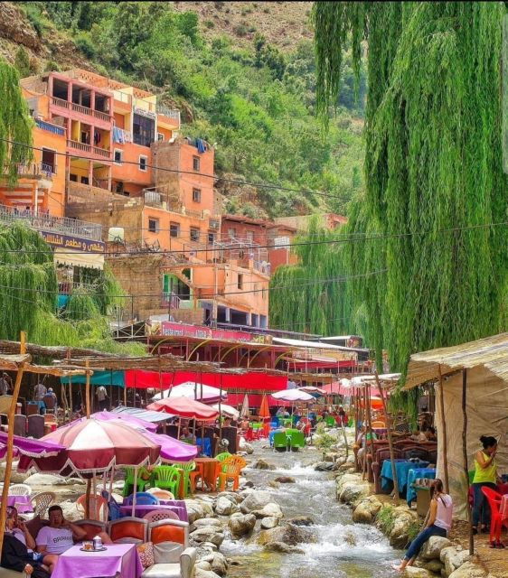 Day Trip to Ourika Valley & Atlas Mountains