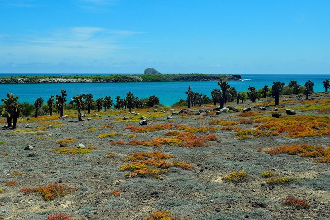 Day Trip to South Plaza Island From Puerto Ayora