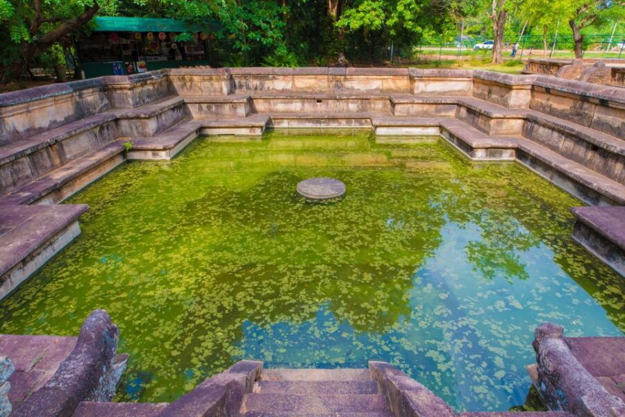 Day Trip to the Ancient City of Polonnaruwa From Negombo - Good To Know