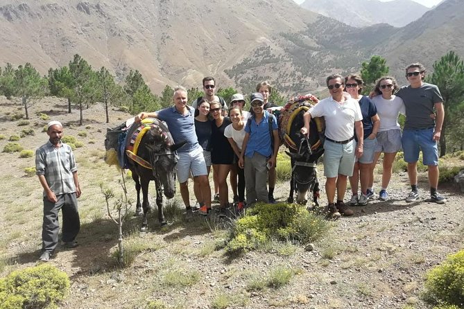 Day Trip To The Atlas Mountains & Camel Ride - Pricing and Booking Details