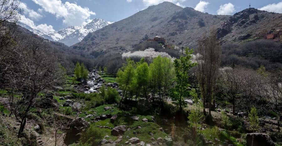 Day Trip to the Atlas Mountains With Waterfalls