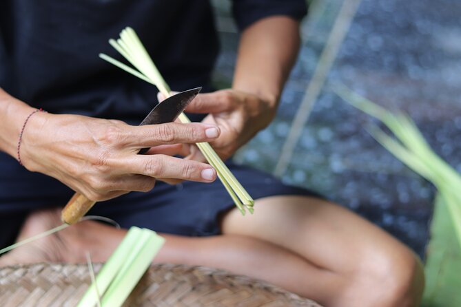Day With a Balinese Family in a Village - Good To Know