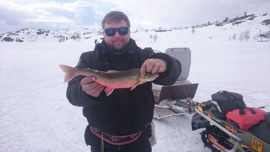 Day With a Local – a True Finnish Experience