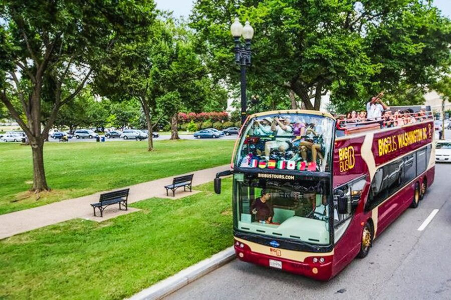 DC: Hop-On Hop-Off Sightseeing Tour by Open-top Bus - Good To Know