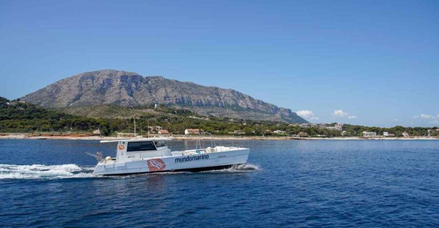 Denia: One-Way Boat Transfer To/From Javea - Good To Know