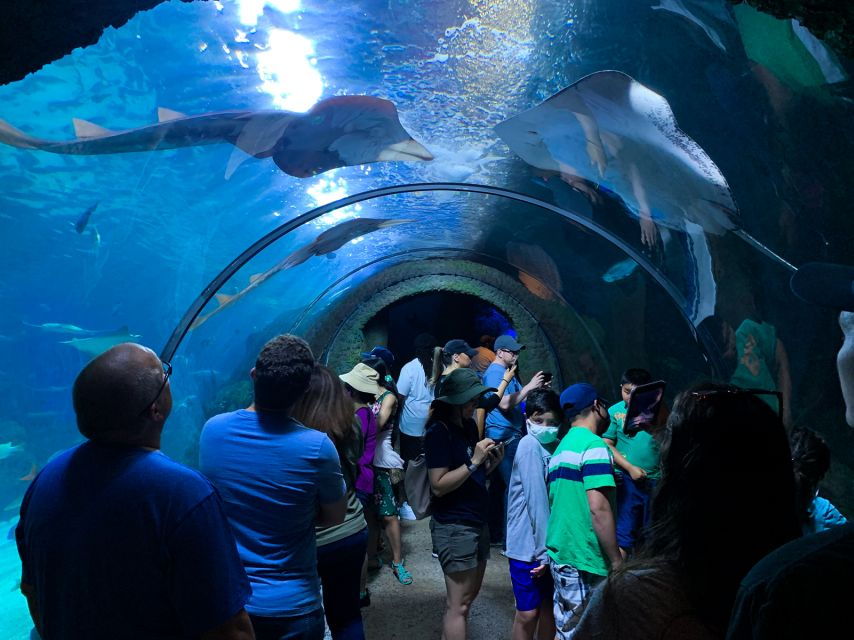Denver: Downtown Aquarium All-Day Pass