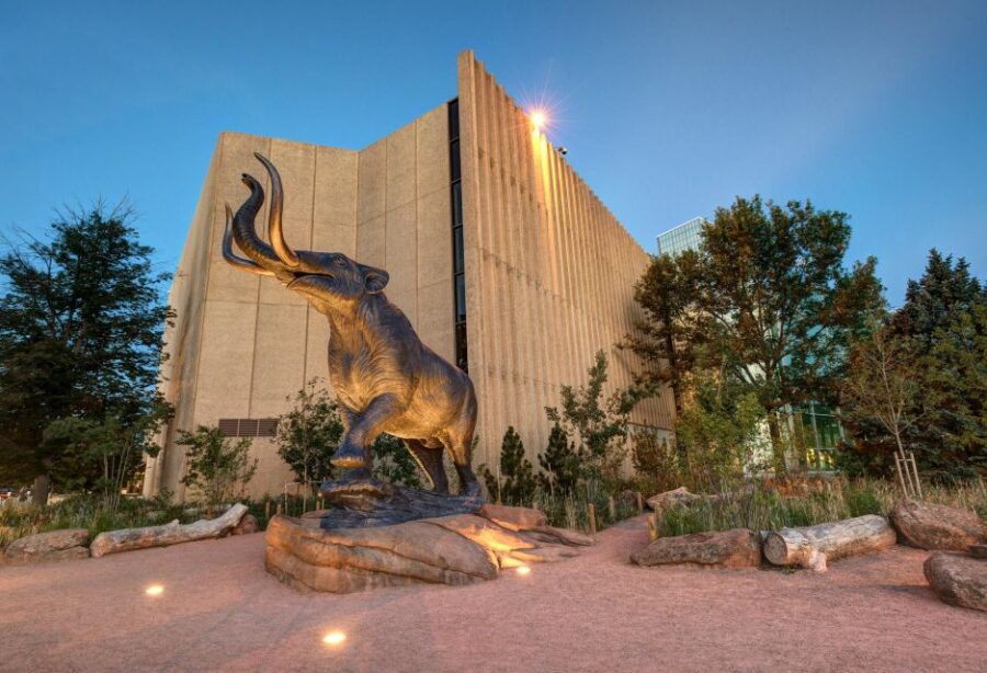 Denver: Museum of Nature and Science Admission Ticket - Good To Know