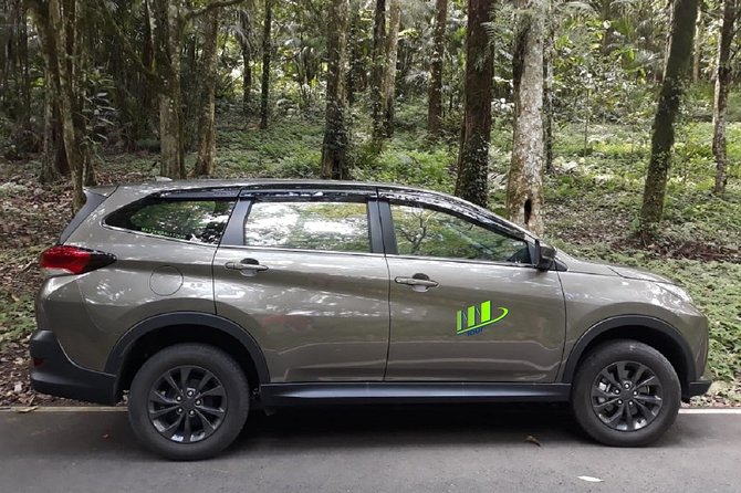 Departure Transfer From Ubud, Canggu, Uluwatu to Bali Airport - Good To Know