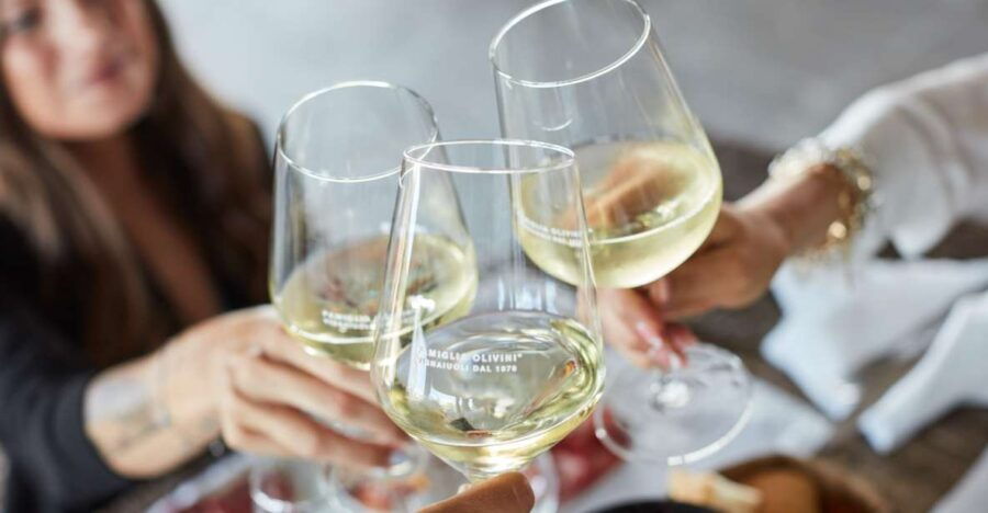 Desenzano: Tasting of Lugana Wines With Vineyard Tour