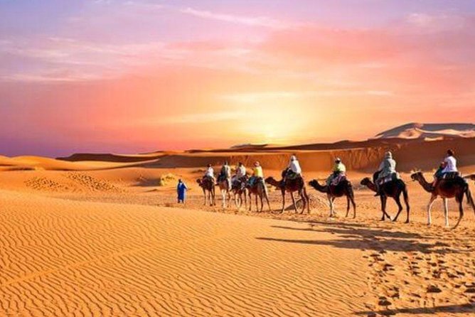 Desert Agafay & Atlas Mountains & Waterfalls, Camel Ride Day Trip From Marrakech - Good To Know