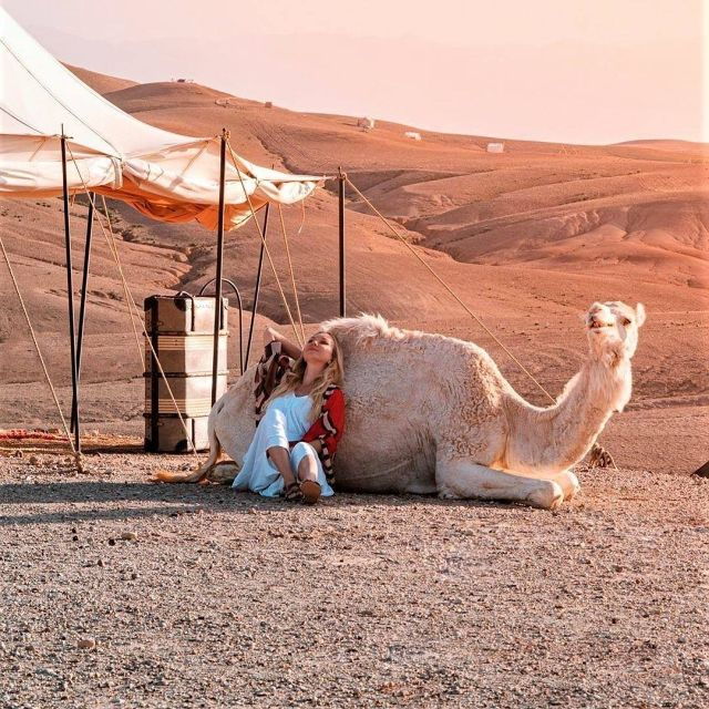 Desert Agafay Dinner at Nomad Camp and Camel Ride