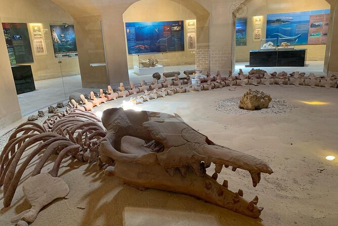 Desert Camping and Valley of Whales Tour in the Egypt Desert (Feb )