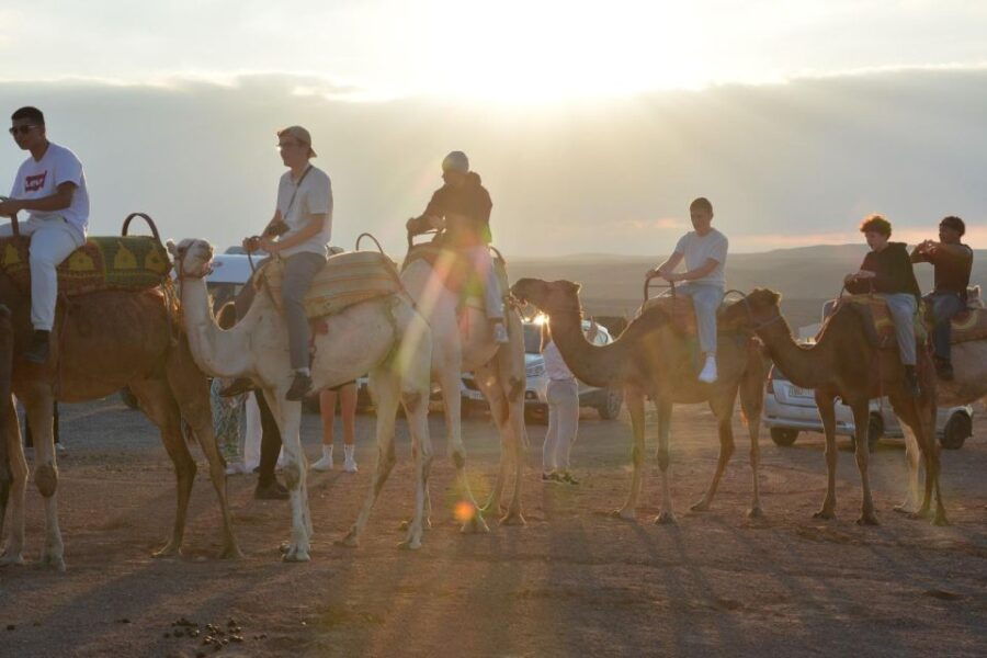 Desert Dreams: Camel Ride & Dinner Show in Agafay