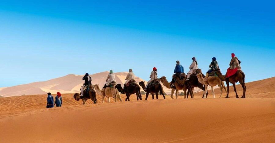 Desert Odyssey: 5-Day Tour From Casablanca's Gateway - Good To Know