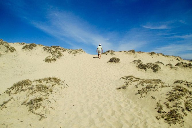 Desert Sahara Sand Dunes in Agadir - Good To Know