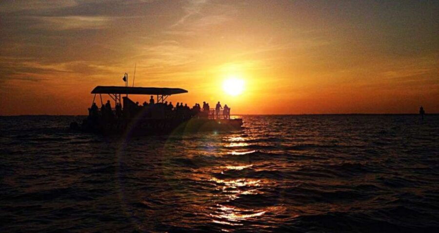 Destin: Dolphin Watch Cruise