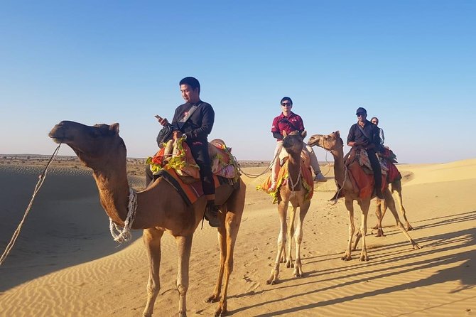 Diamond Camel Safari Private Tour(Overnight Camel Safari Non-Touristic Area)