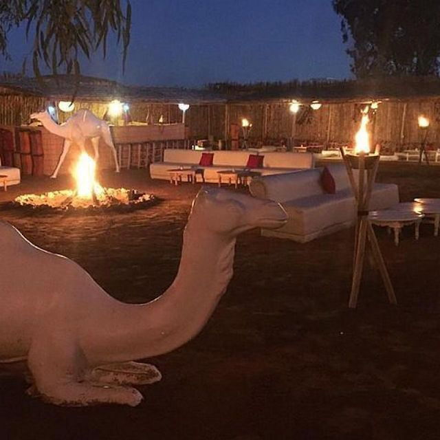 Dinner and Sunset Camel Ride at Desert Agafay Marrakech
