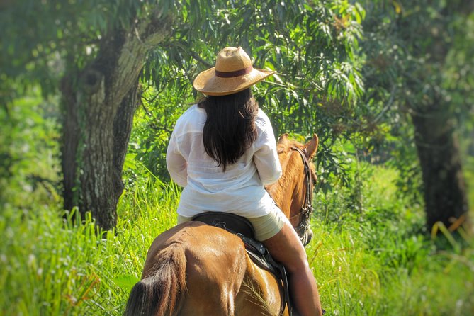 Discover a Nature Reserve on Horseback - Booking Information