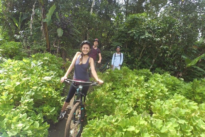 Discover An Enchanting Banyumala Twin Waterfall by Bike - Good To Know