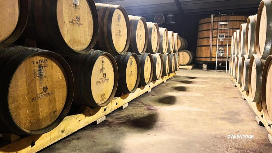 Discover Authentic Douro With D'aventour - Good To Know