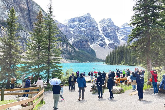 Discover Banff National Park on This Shared Sightseeing Tour