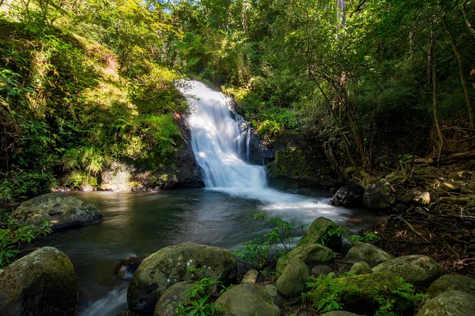 Discover Rincon De La Vieja’s Natural Wonders