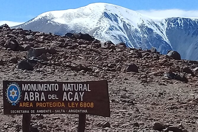 Discover Route 40 in Salta