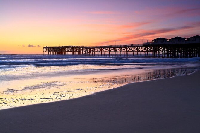 Discover San Diegos Beaches: Private Driving Tour