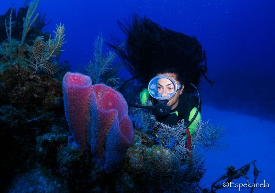 3 Best Scuba Diving Experiences In Mahahual