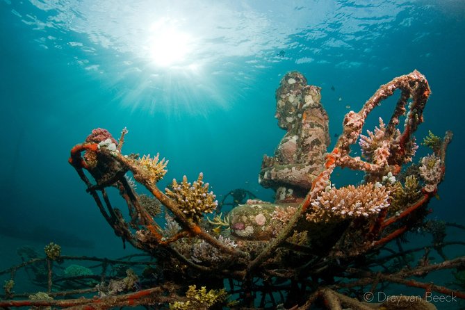 Discover Scuba Diving in Pemuteran at the Biorock Site,1 Shore Dive All Included - Good To Know