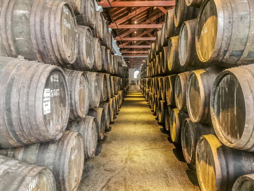 Discover the Charm of Douro Valley From Lisbon