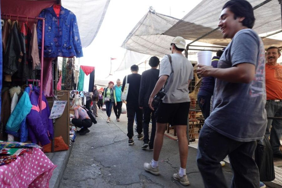 Discover the Magic of La Lagunilla Neighborhood - Good To Know