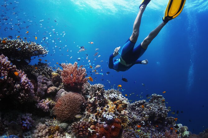 Discover Underwater Blue Lagoon With This Snorkeling - Good To Know