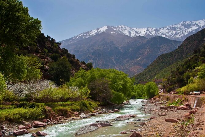 Discovering Ourika Valley and Atlas Mountains With a Local Guide - Good To Know