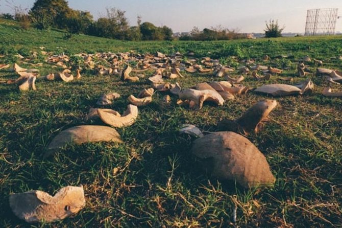 Discovering the Monte Dei Cocci in Rome - Good To Know