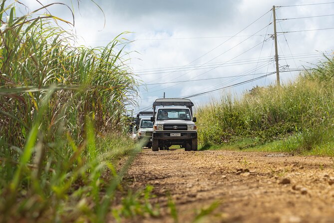 2 Best Safari Tours In Barbados