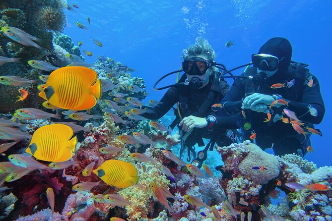 Diving and Snorkeling at Paradise Island Boat Trip Hurghada - Good To Know