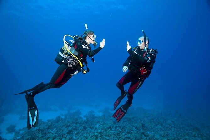 Diving Baptism at Sea