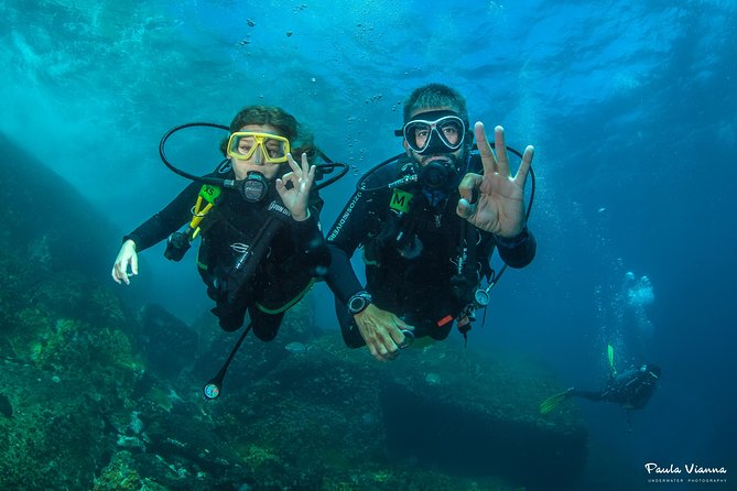 Diving for Beginners and Accredited - Búzios RJ