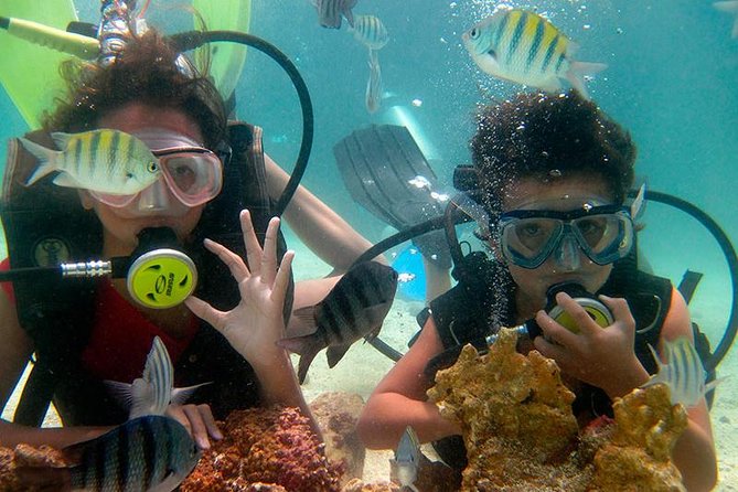 DIVING in PORTO De GALINHAS (With Cylinder)