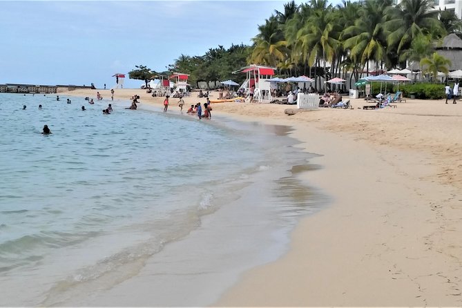 Doctors Cave Beach, Margaritaville & Shopping From Montego Bay Hotels - Tour Highlights