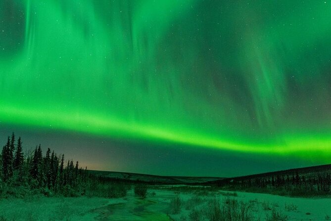 Dog-Pulled ATV Experiencefairbanks”The Date With Aurora” Alaska